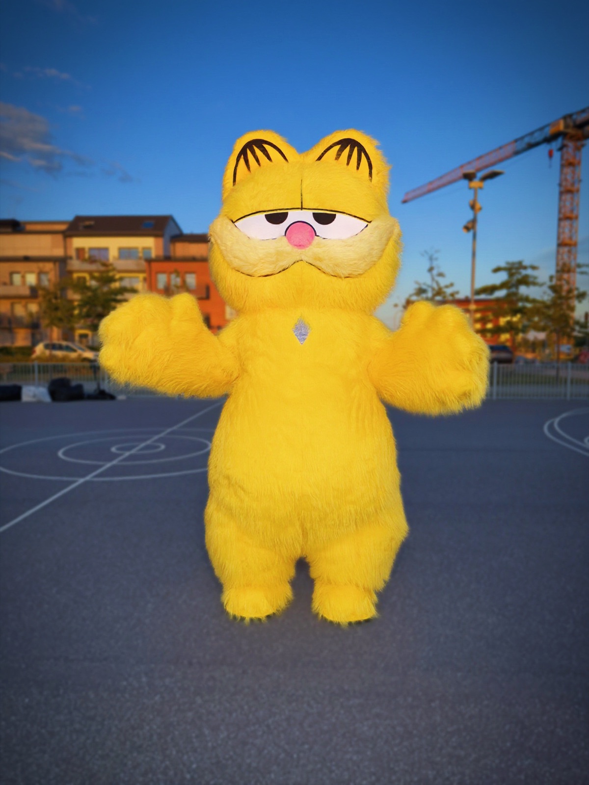 Garfield
